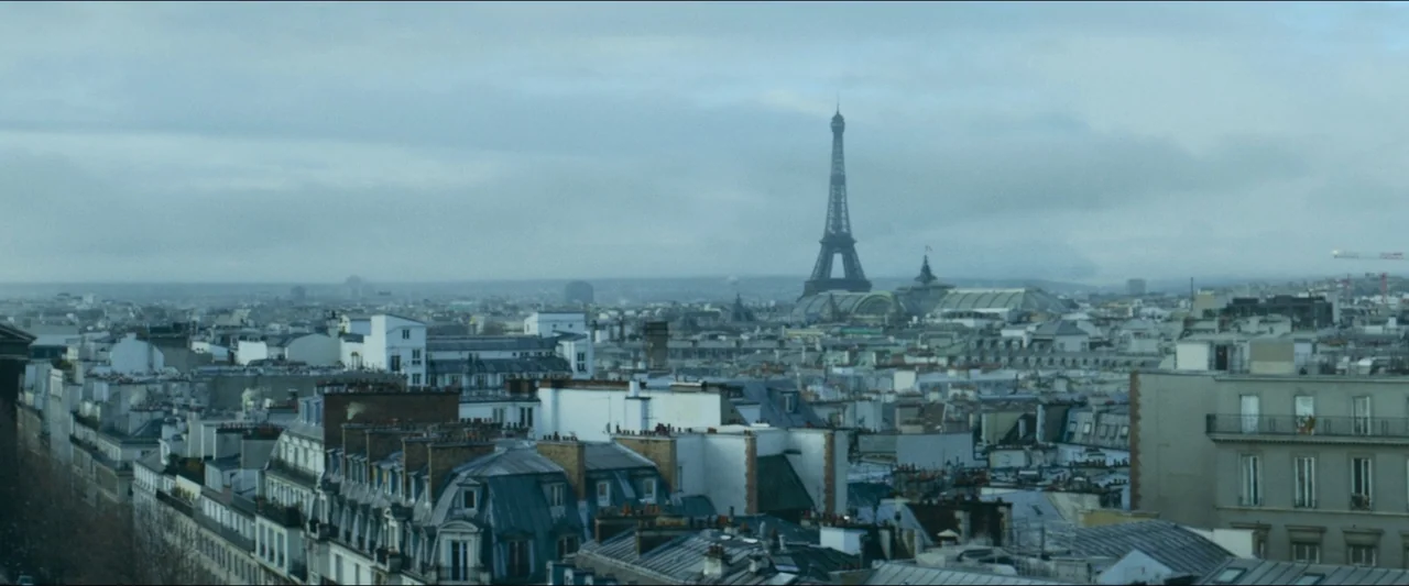 Birds of Paradise (2021) movie still: establishing — A dense urban expanse of Parisian slate rooftops extends toward the horizon under grey clouds.…