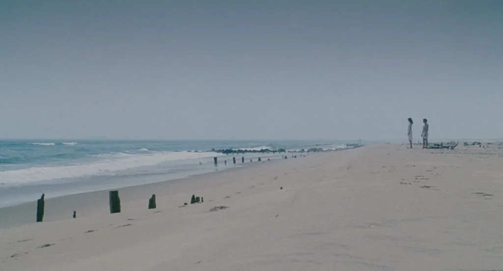 Fur: An Imaginary Portrait Of Diane Arbus (2006) movie still: wide — A vast, empty sandy beach meets the ocean under an overcast grey sky. A woman…