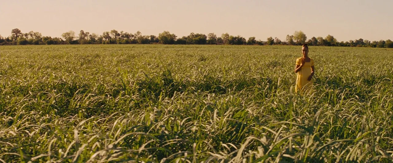 Django Unchained (2012) movie still: wide — A vast, open field of tall green grass spans the foreground and mid-ground. A woman in a yellow dress…