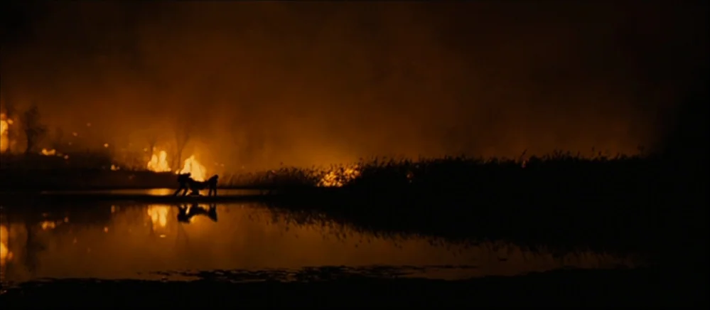 The Road (2009) movie still: wide — A dark marsh at night with tall reeds burning along the distant shoreline. Two small silhouettes walk along the…