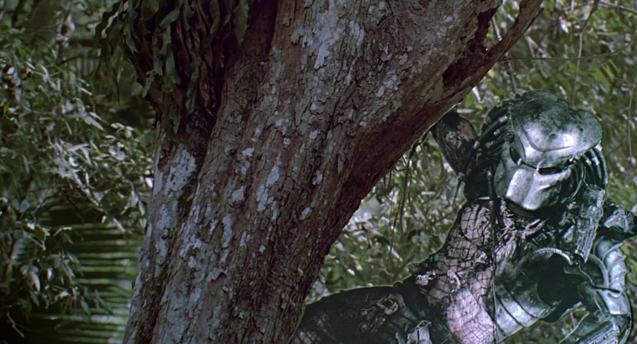 Predator (1987) movie still: medium — A dense, overgrown jungle with thick tropical vegetation surrounding a large, textured tree trunk. An…
