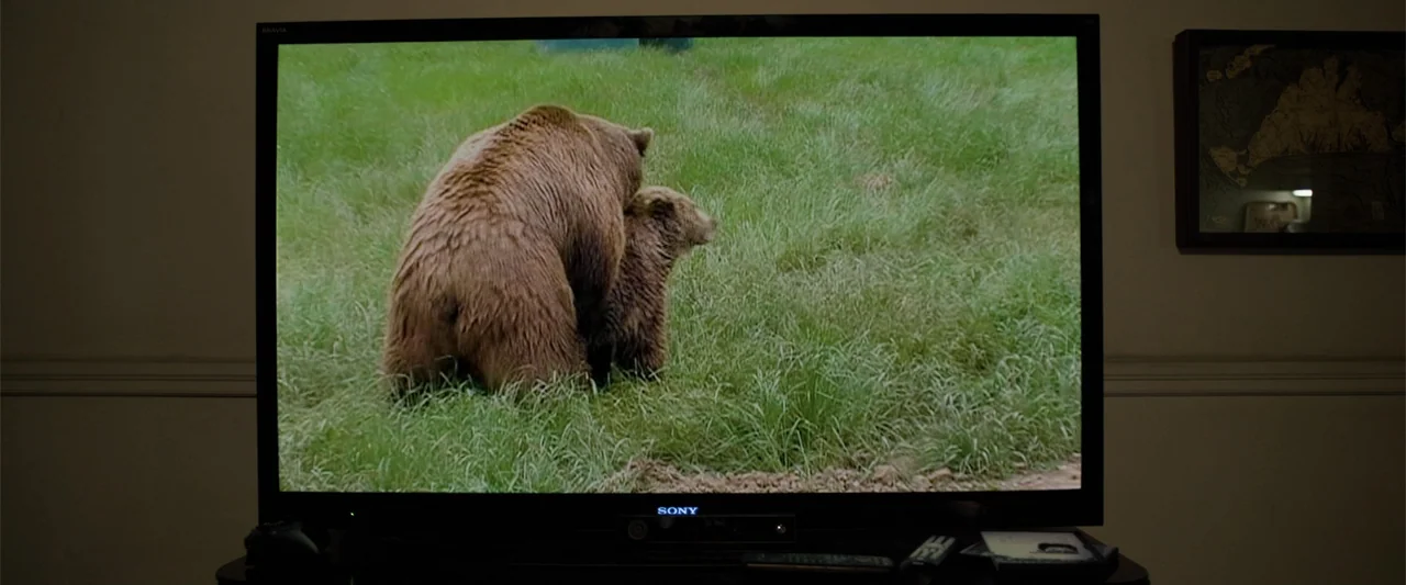 Ted 2 (2015) movie still: medium — A dark living room contains a television displaying an image of two grizzly bears. The bears are standing…