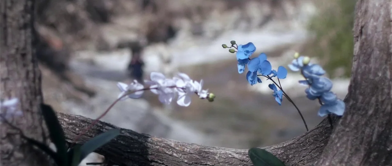 Upstream Color (2013) movie still: closeup — Two clusters of blue and light violet artificial-looking flowers grow from a rustic tree branch. A…