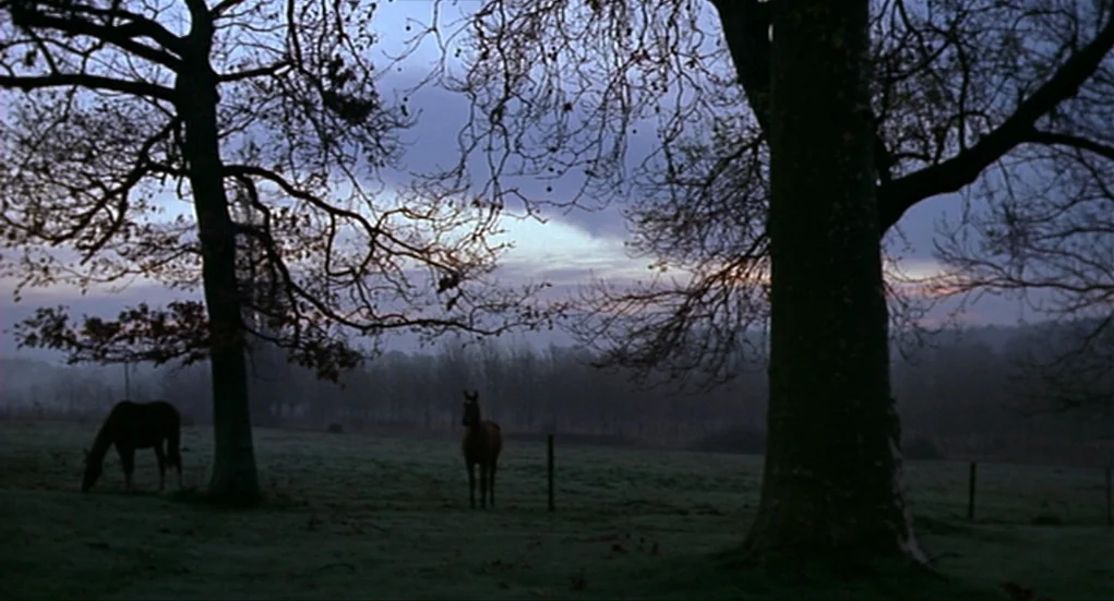 Tiresia (2003) movie still: wide — A dark, misty pasture at dawn features two horses standing between large oak trees. The sky shows subtle colors…