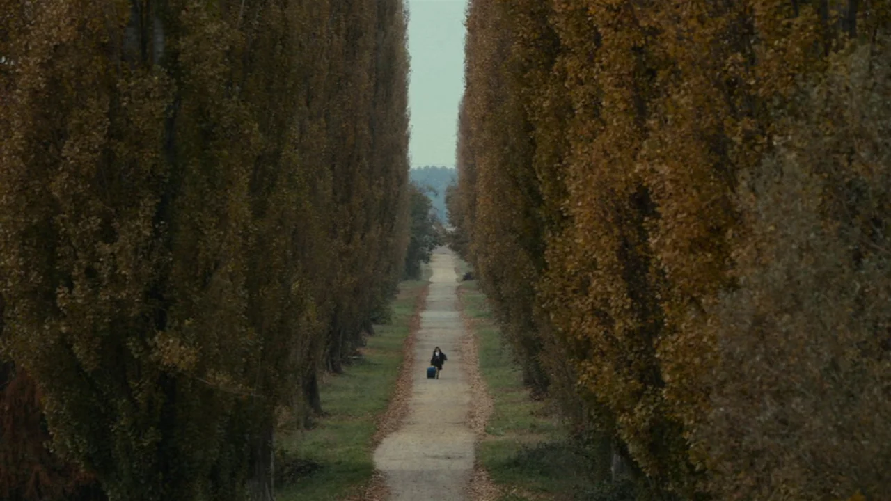 Amanda (2022) movie still: wide — A long dirt path extends between two dense rows of tall, autumn-toned deciduous trees. A lone person walks down…