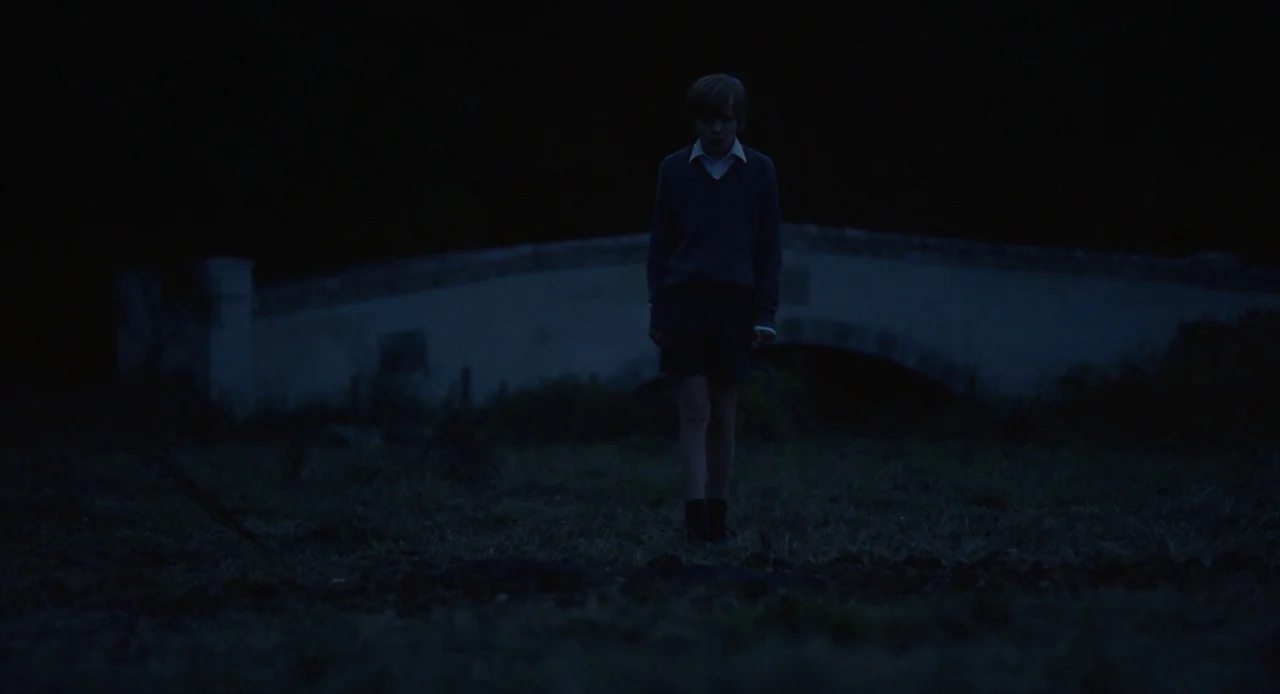 The Nest (2020) movie still: fullbody — A dark grassy field stretches before a stone bridge silhouetted against the night sky. A young boy in…