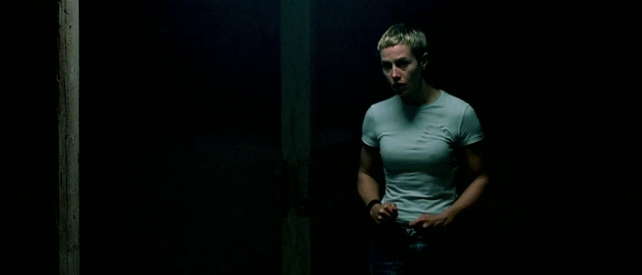 Haute Tension (2003) movie still: medium — A dimly lit interior space with shadows obscuring most of the surrounding environment. A woman with short…