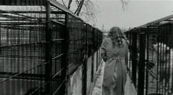 Roadkill (1989) movie still: fullbody — An outdoor walkway is flanked by long rows of wire mesh animal cages. A person wearing a long coat walks…