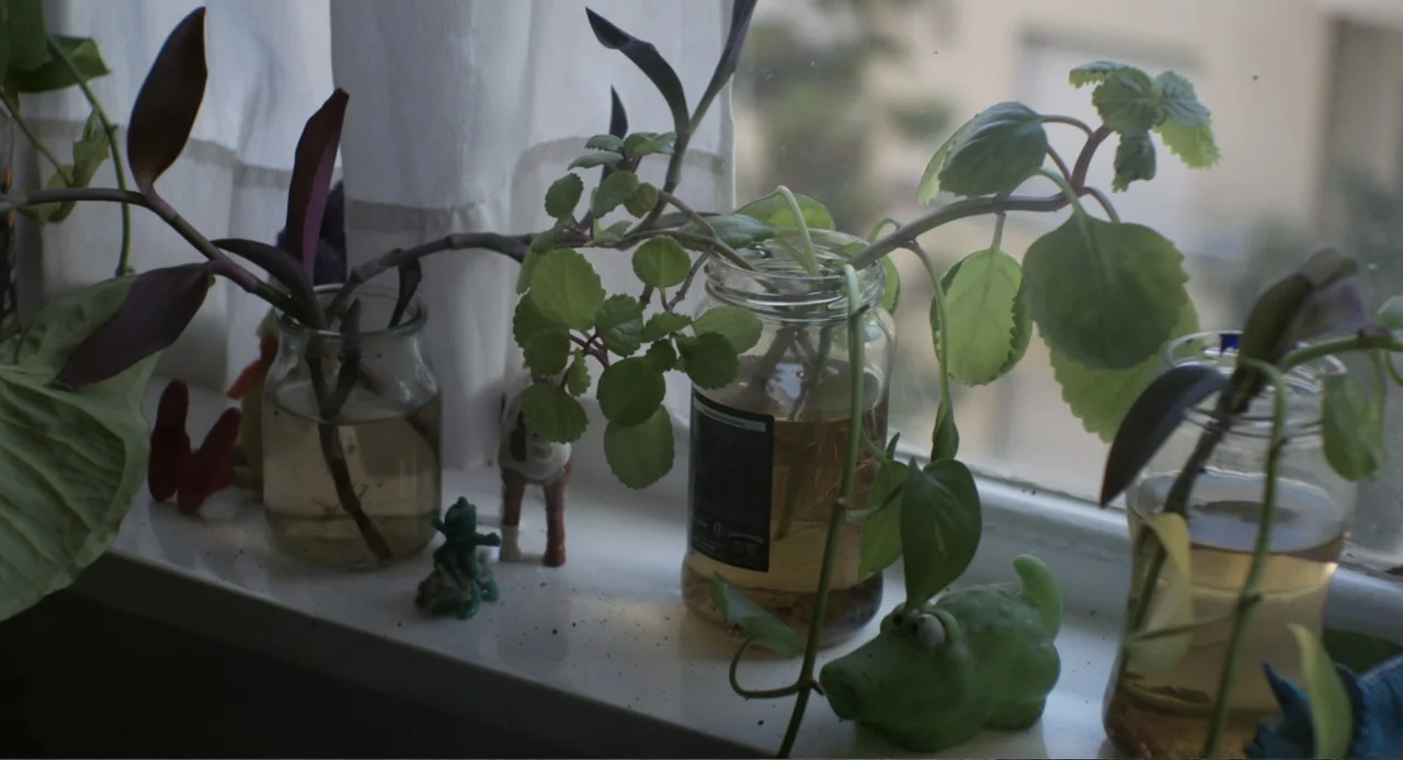 An Odd Turn (2024) movie still: medium — A white windowsill contains three glass jars filled with water and various plant clippings. Small plastic…