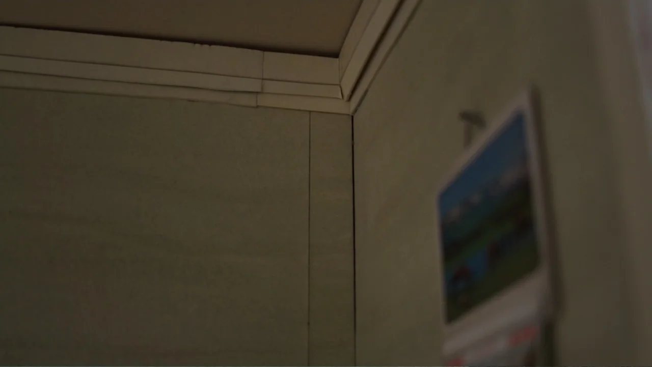 Bestia (2017) movie still: establishing — A corner of a room features plain, light-green walls with simple white ceiling trim. A small, blurry…