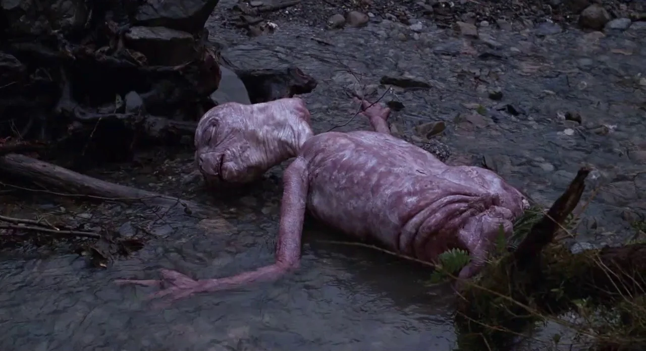 E.T. The Extra-Terrestrial (1982) movie still: medium — A small, alien creature lies on the stony bank of a shallow creek bed. The creature appears…