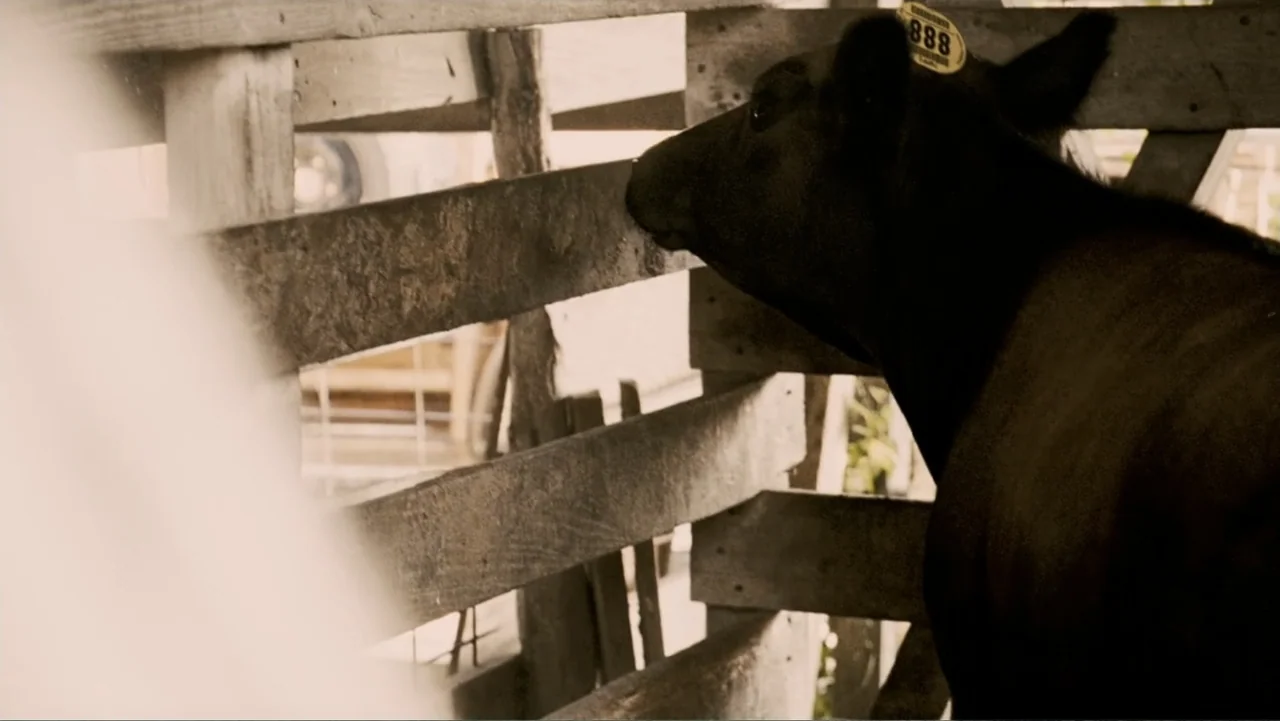 The Texas Chainsaw Massacre: The Beginning (2006) movie still: medium — A wooden cattle pen is constructed with rough, weathered planks in a rural…