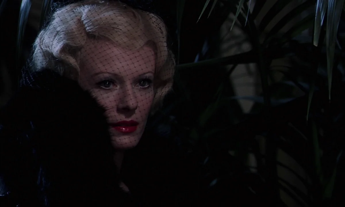 Daughters of Darkness (1971) movie still: closeup — A dark indoor space is filled with large, shadowed palm leaves. A woman wears a black veil and…