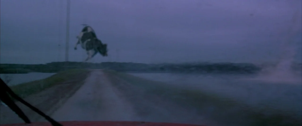 Twister (1996) movie still: wide — A rural dirt road stretches through a dim, overcast landscape near a body of water. A black and white cow is…