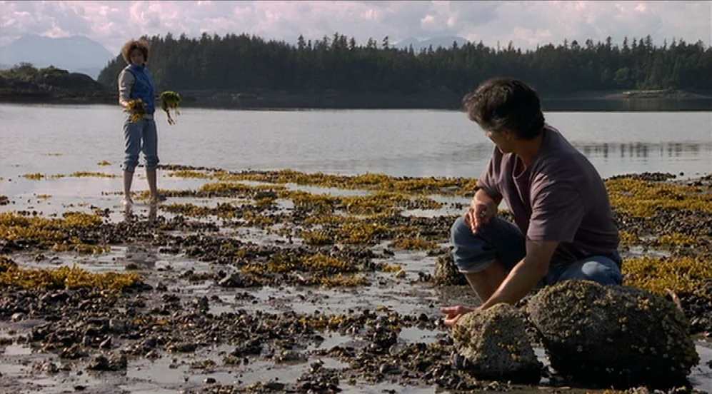 Limbo (1999) movie still: fullbody — A rocky tidal flat is covered in patches of yellow seaweed at low tide. A man crouches near a barnacle-covered…