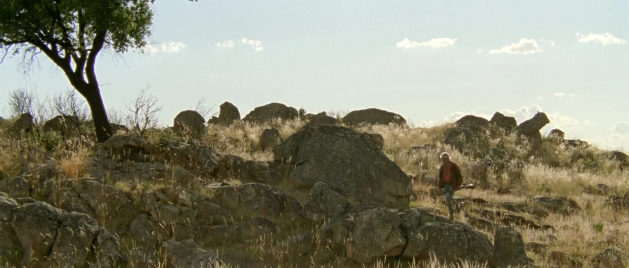 Arabian Nights: Volume 2 The Desolate One (2015) movie still: wide — A dry, rocky hillside with sparse yellow grass and a single large tree. An…