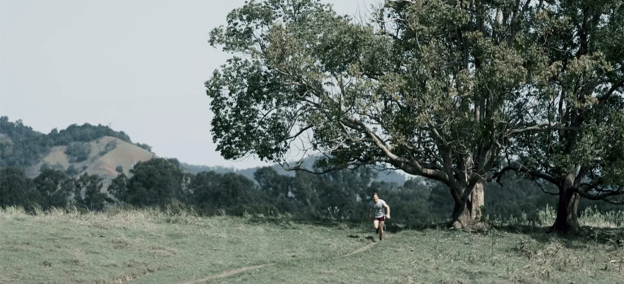 Boar (2018) movie still: wide — A grassy hillside landscape features a large, mature tree situated on a gentle slope. A man runs along a dirt path…