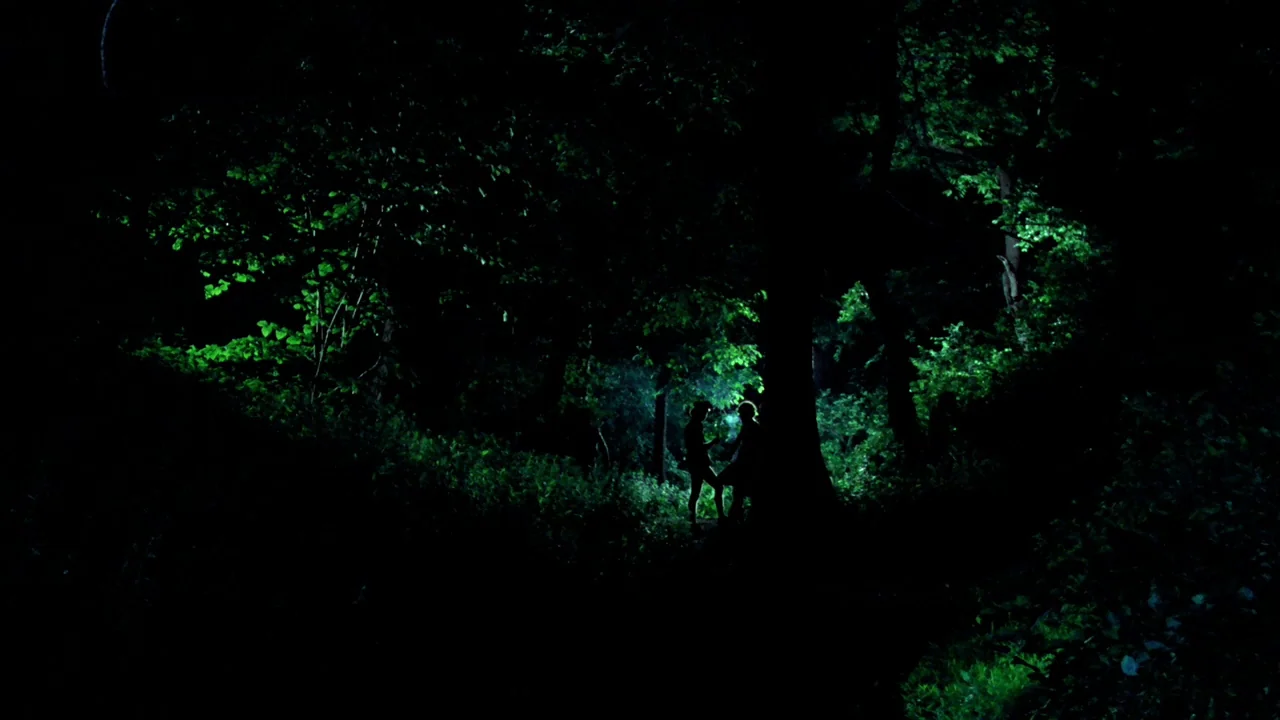 Cruising (1980) movie still: wide — A dense patch of trees is lit by a vibrant green glow at night. Two dark silhouettes occupy the center of the…