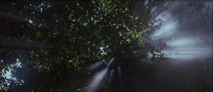 The Thin Red Line movie still: establishing — A dense forest canopy viewed from below with dark interlocking leaves. Bright sun rays pierce through…