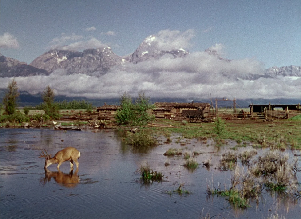 Shane (1953) movie still: wide — A rural expanse features a small wooden corral and cabin near snowy mountains. A deer stands in the shallow…