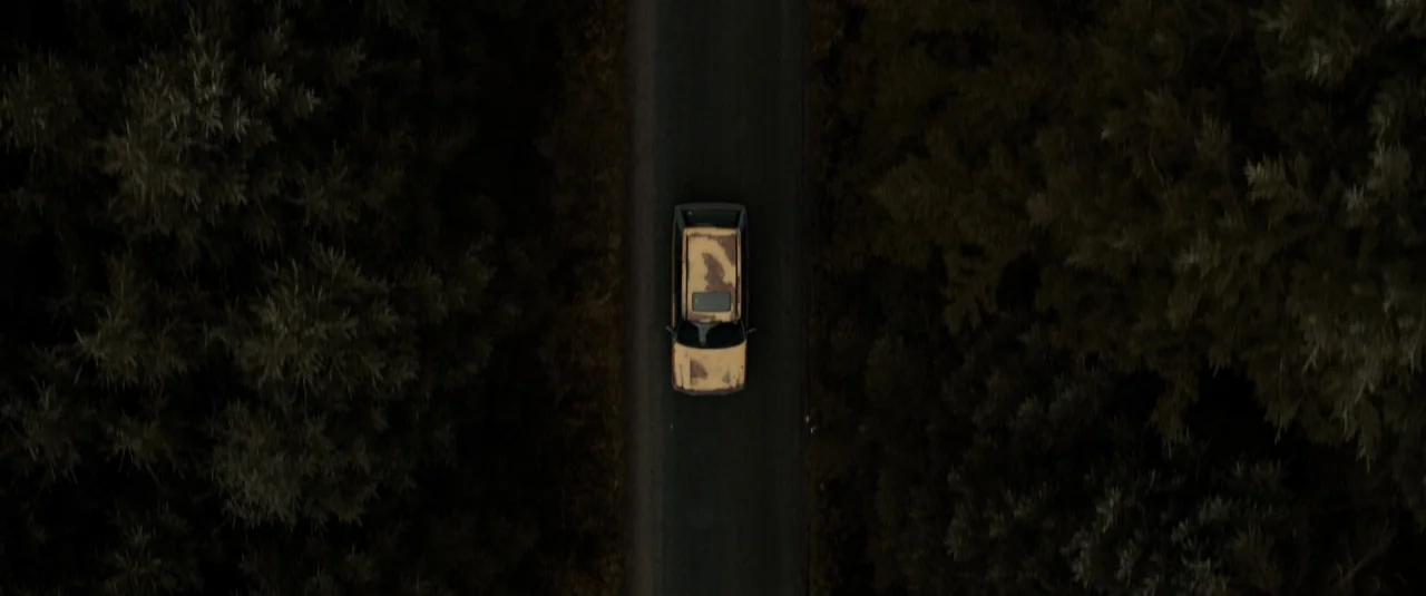 The Hole in the Ground (2019) movie still: wide — An asphalt road cuts through a dense forest of dark, muted green trees. An old, tan-colored car…