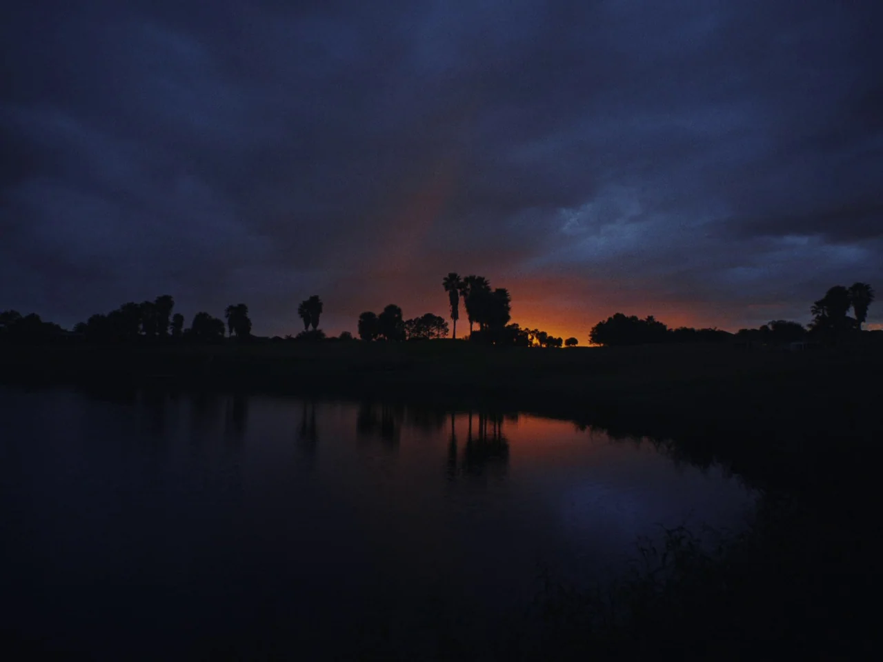 Some Kind Of Heaven (2020) movie still: establishing — A dark body of water reflects a horizon lit by a fading sunset. Silhouetted palm trees and…