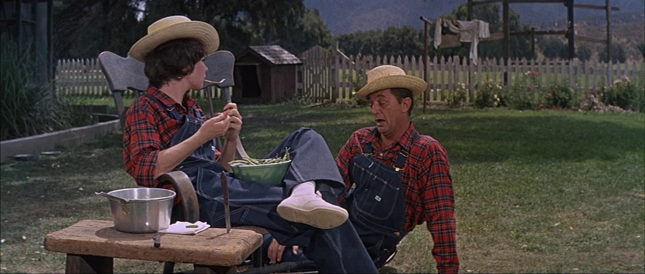 What A Way To Go! (1964) movie still: medium — A rural grassy yard features a white picket fence and a small wooden shack. Two adults in matching…
