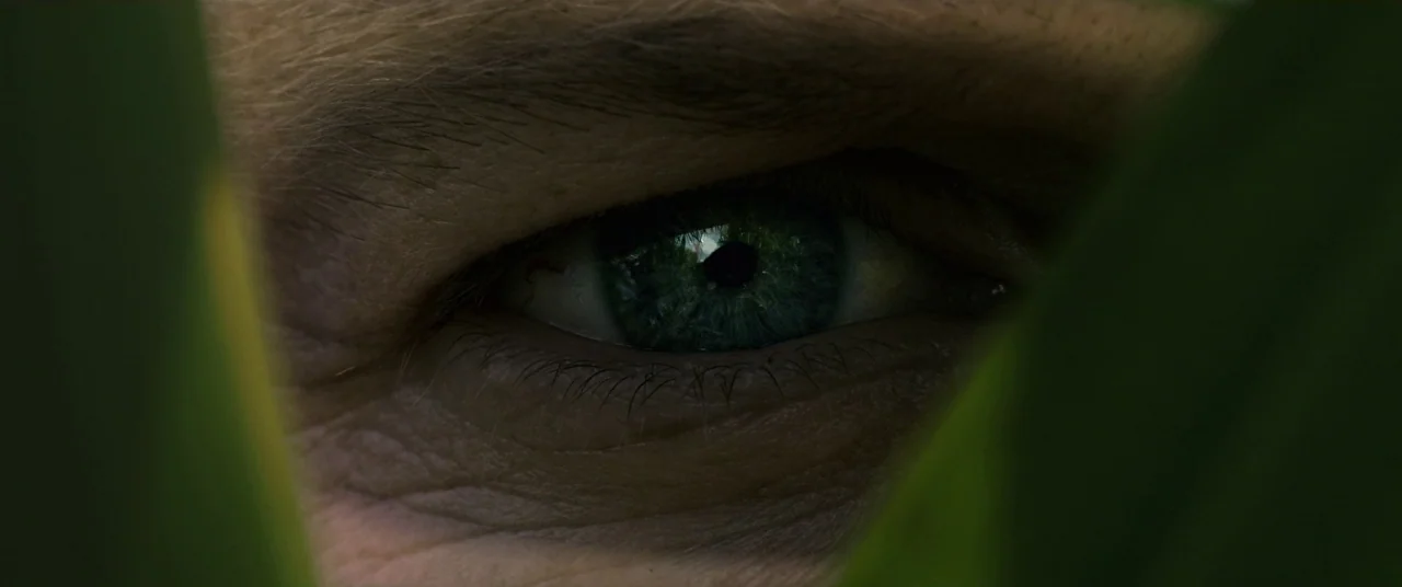 In The Tall Grass (2019) movie still: closeup — A close-up perspective of a human eye framed by dark green foliage. The subject looks forward with…