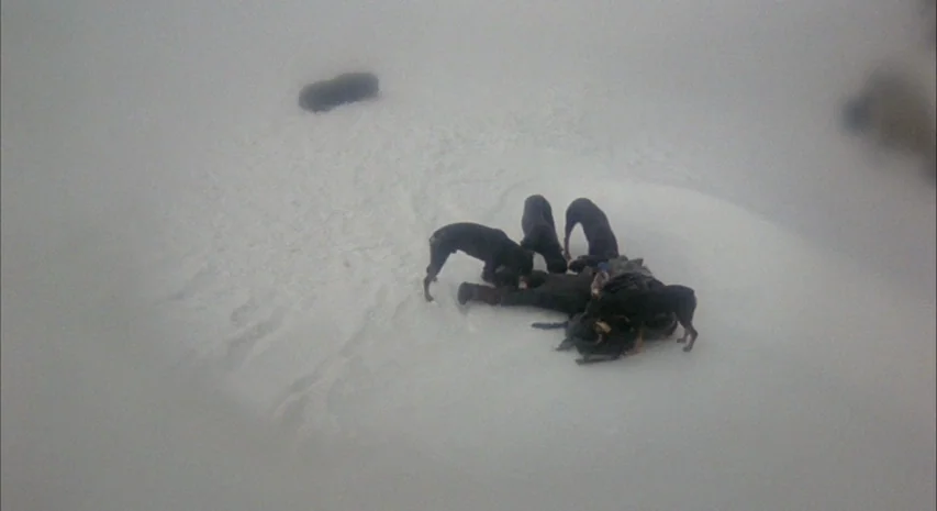 Quintet (1979) movie still: wide — A vast, featureless snow-covered landscape extends in all directions under a bright, overcast sky. Four dark dogs…
