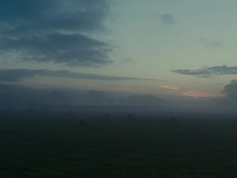 Wuthering Heights movie still: establishing — A vast, open field is shrouded in dense early morning mist. Several small animals graze silently in…