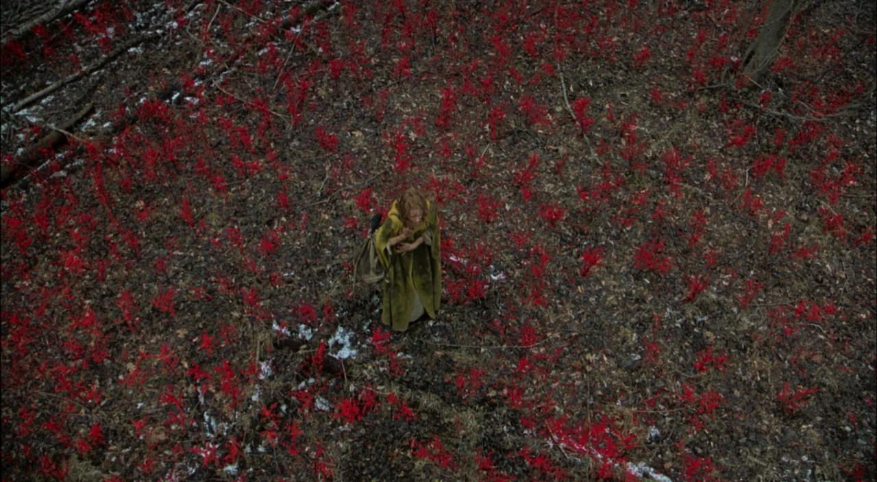 The Village (2004) movie still: wide — A woman stands in a clearing covered with bright red plants. The ground is dark, damp soil with scattered…