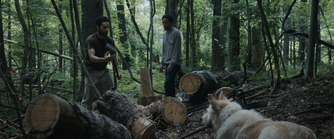 It Comes at Night (2017) movie still: fullbody — A dense woodland area contains multiple cut logs and a chainsaw on the ground. A man with an axe…