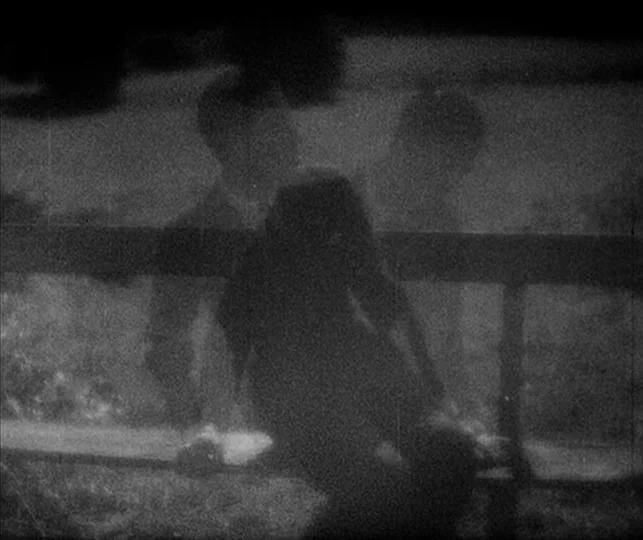 Vampyr (1932) movie still: medium — A wooden fence horizontally divides a field with two figures positioned behind it. The figures are visible as…