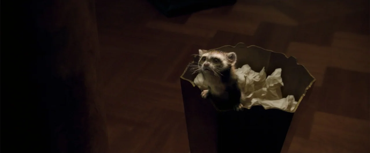 The Golden Compass (2007) movie still: medium — A dark wooden floor supports a cardboard box filled with crumpled white paper. A small ferret with…