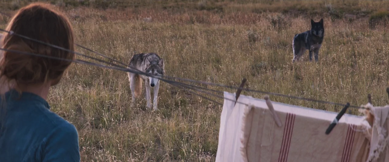 The Wind (2018) movie still: medium — An open grassy field contains a clothesline with laundry drying in the breeze. A woman in a blue shirt watches…