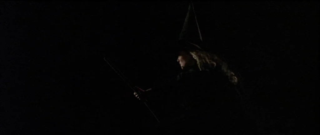 Wild At Heart (1990) movie still: medium — A dark space features a woman in profile wearing a pointed hat. She holds a wooden broomstick…
