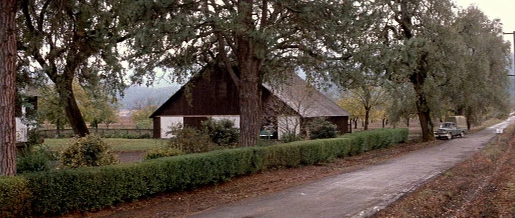 Wild in the Country (1961) movie still: establishing — A dark wooden barn stands in a clearing surrounded by tall deciduous trees. A vintage…