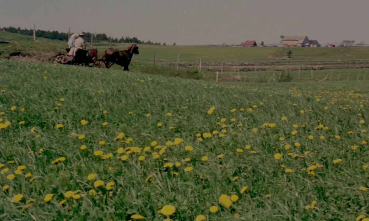Kamouraska (1973) movie still: wide — A vast, rolling green meadow is filled with yellow wildflowers. A horse-drawn carriage travels across the…