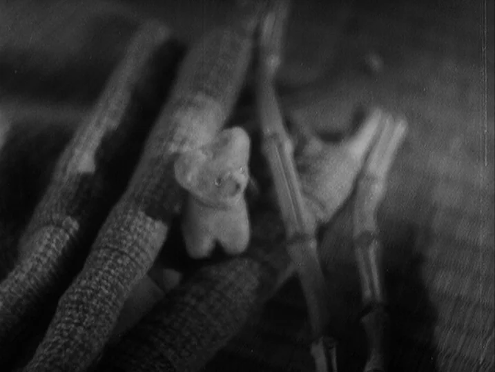 Anatomy of a Relationship (1976) movie still: closeup — A small carved figurine rests nestled between several thick, fibrous plant stalks. The…