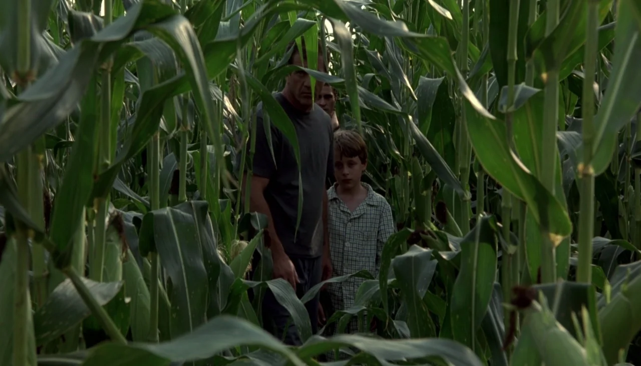 Signs (2002) movie still: medium — A dense patch of tall green cornstalks obscures much of the surrounding view. Three males stand closely together…
