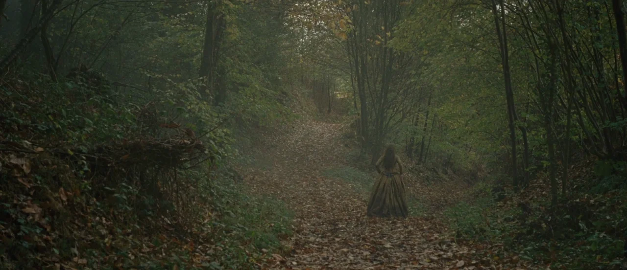 Madame Bovary movie still: wide — A dense forest path covered in fallen autumn leaves stretches between thick, dark trees. A woman in a period-style…