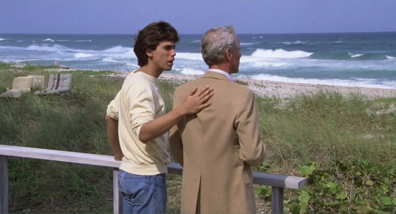 Harry and the Butler (1961) movie still: medium — A grassy coastal area with a wooden railing overlooks a churning ocean.