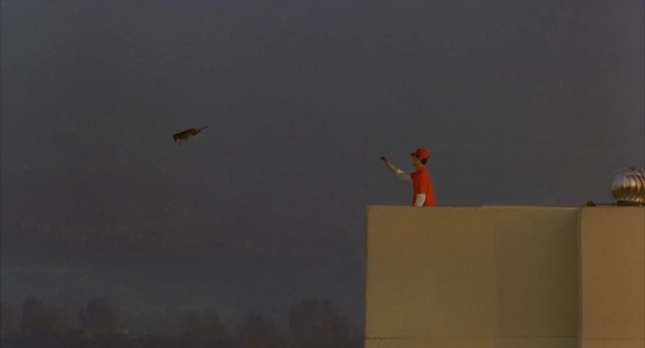 Barking Dogs Never Bite (2000) movie still: wide — A flat rooftop during twilight with a lone figure standing near the edge. The person in an orange…