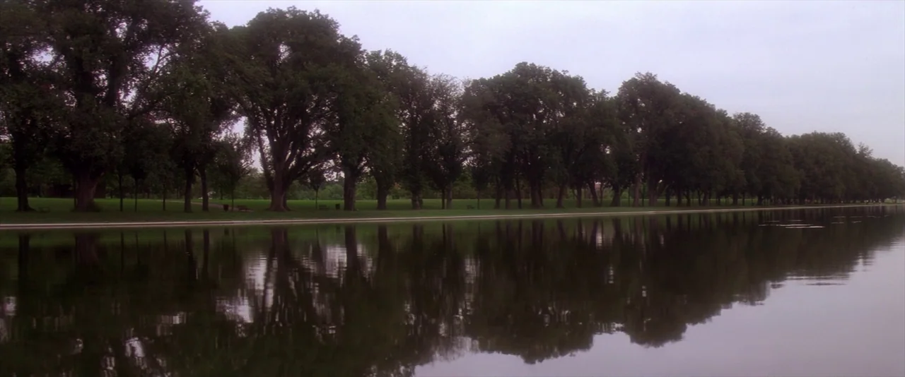 JFK (1991) movie still: establishing — A row of mature leafy trees lines a grassy bank beside a calm lake. The water acts as a mirror for the trees…