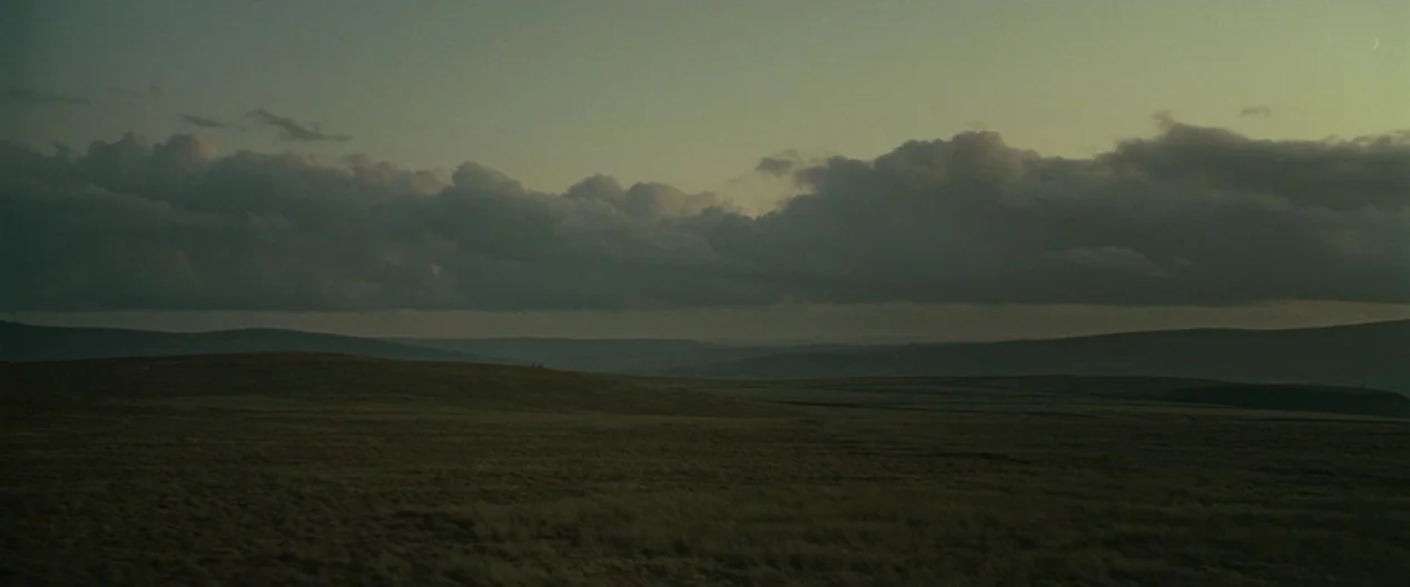 Harry Potter & The Deathly Hallows Part 1 (2010) movie still: establishing — A vast, rolling moorland stretches out under a wide, cloudy twilight…