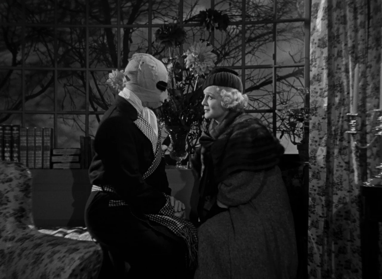 The Invisible Man (1933) (1933) movie still: medium — An interior space features large window panes looking out onto silhouetted winter trees at…