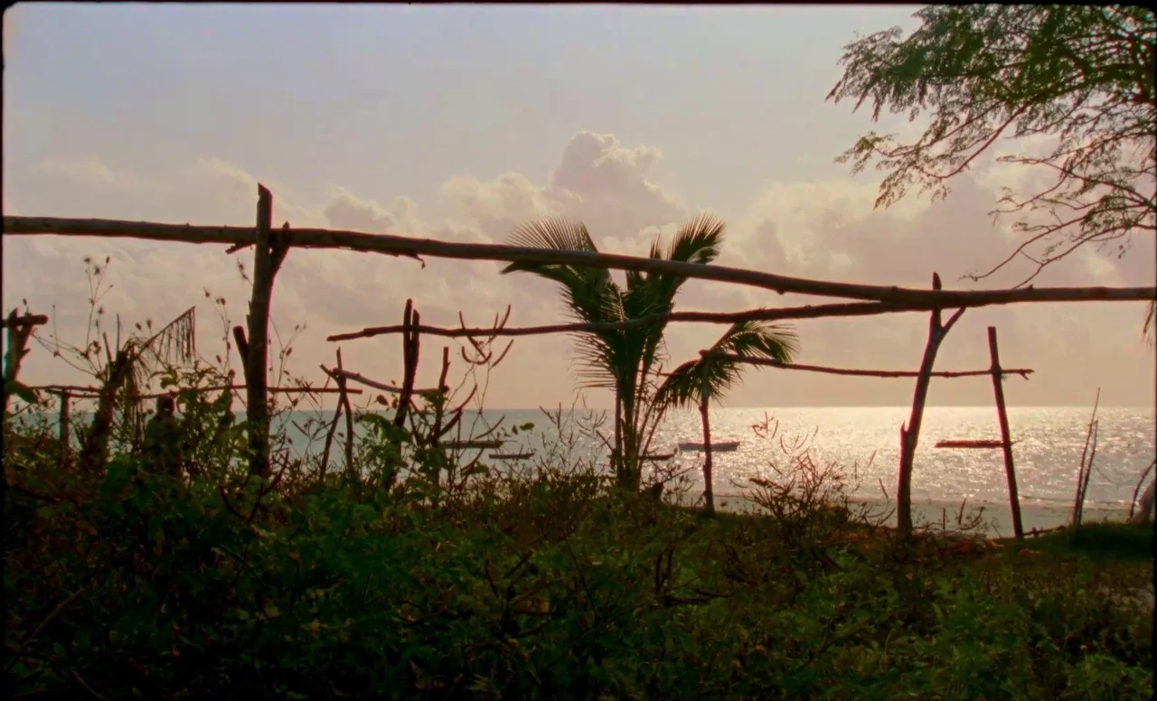 Samsara (2023) movie still: establishing — A coastal shoreline features a rough wooden framework structure amidst low coastal vegetation. Small…