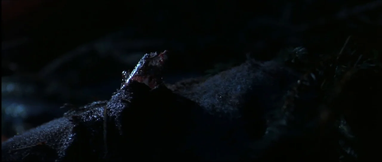 Ravenous (1999) movie still: closeup — A dark patch of damp soil is covered in pine needles and moss. A small piece of organic material reflects a…