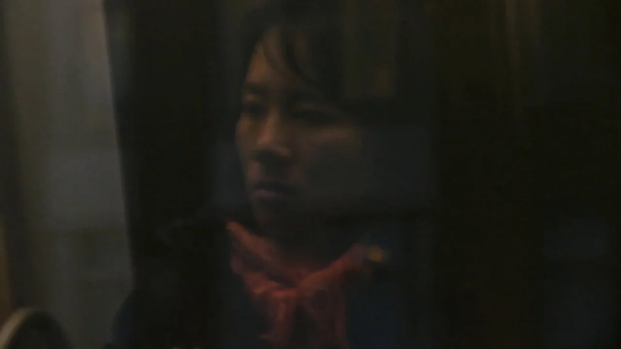 Counting (2015) movie still: closeup — A person is visible through a dark glass reflection on a train. The individual wears a red scarf while…