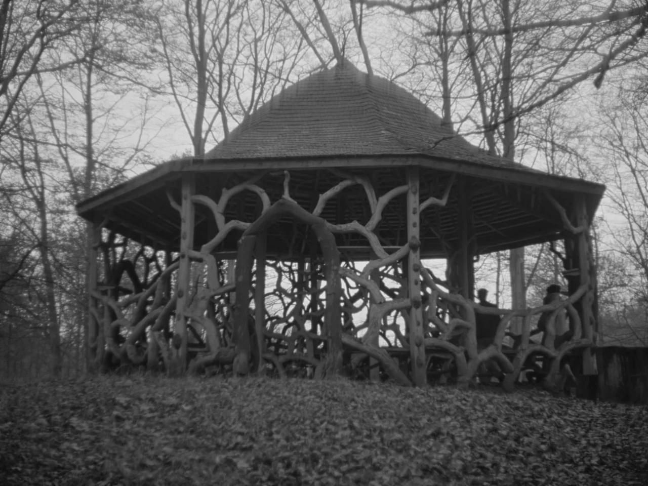 The Baby Carriage (1963) movie still: wide — A rustic wooden gazebo features complex, intertwined branch-like support beams and a shingled roof. The…